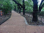 20080829km021.jpg