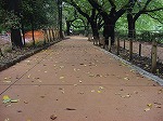 20080829km022.jpg