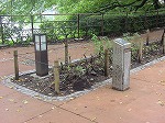 20080829km023.jpg