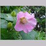 20080922msg020.jpg