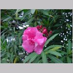 20080922msg028.jpg