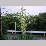 20080922msg052.jpg