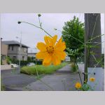 20080922msg080.jpg