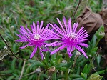 20080928msg009.jpg