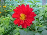 20080928msg011.jpg