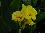 20080928msg012.jpg