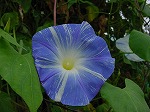 20080928msg013.jpg