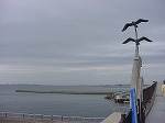 20080928msg019.jpg