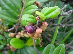 20080928msg020.jpg