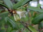 20080928msg026.jpg