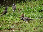 20081001msg010.jpg