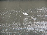 20081001msg023.jpg