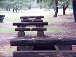 20081001msg028.jpg