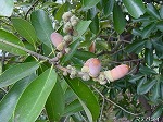20081014msg070.jpg