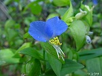 20081014msg101.jpg