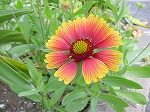 20081014msg110.jpg