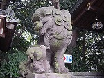 20081026kmg023.jpg