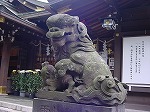 20081026kmg026.jpg