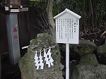20081026kmg029.jpg