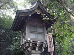 20081026kmg034.jpg
