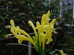20081026kmg050.jpg