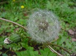 20081026kmg067.jpg