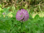 20081027kmg015.jpg