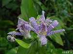 20081027kmg028.jpg