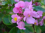 20081027kmg039.jpg