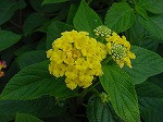 20081027kmg057.jpg