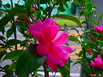 20081103msg001.jpg