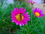 20081103msg025.jpg
