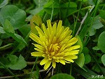 20081111msg065.jpg