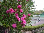 20081111msg128.jpg