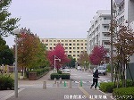 20081111msg013.jpg