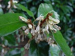 20081111msg140.jpg