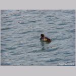 20081117msg098.jpg