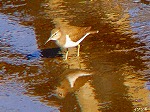 20081119msg012.jpg