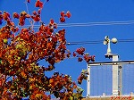 20081119msg061.jpg