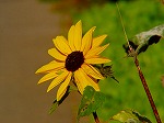 20081119msg079.jpg