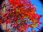 20081203mmj003.jpg