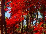 20081203mmj012.jpg