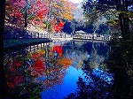 20081203mmj034.jpg