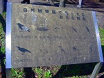 20081203mmj044.jpg