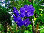20081203mmj097.jpg