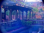 20081203mmj163.jpg
