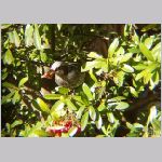 20090101jtk017x2.jpg