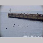 20090122msg089.jpg