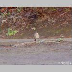 20090302msg088k.jpg