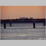 20090302msg107.jpg